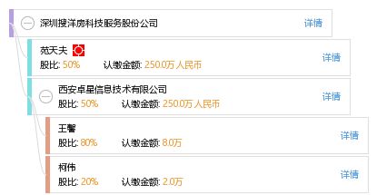 深圳搜洋房科技服务股份公司工商信息、信用报告、财务报表及联系方式全解析